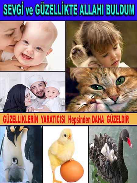 Proofs and Evidences of God, God exists proofs, God is real proofs and evidences, Proofs of God's existance