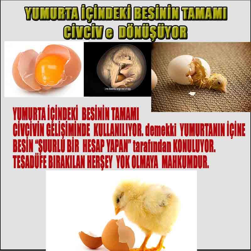 Proofs and Evidences of God, God exists proofs, God is real proofs and evidences, Proofs of God's existance